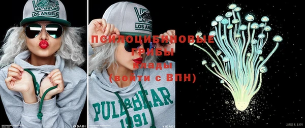 ПСИЛОЦИБИНОВЫЕ ГРИБЫ Коряжма