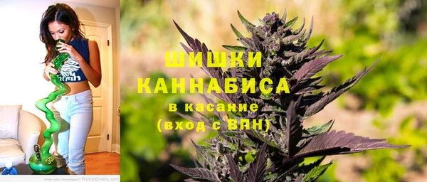 ПСИЛОЦИБИНОВЫЕ ГРИБЫ Коряжма
