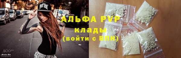 ПСИЛОЦИБИНОВЫЕ ГРИБЫ Коряжма